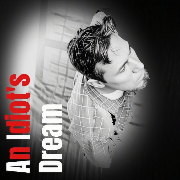 An Idiot's Dream album cover